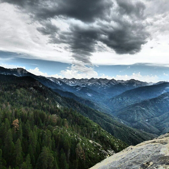 Meet your Posher, Desert Dream Dress - Picture 6 of 6